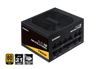 REVOLUTION D.F. 12 750W / 80 PLUS® Gold / ATX 3.1 Fully-Modular Power Supply